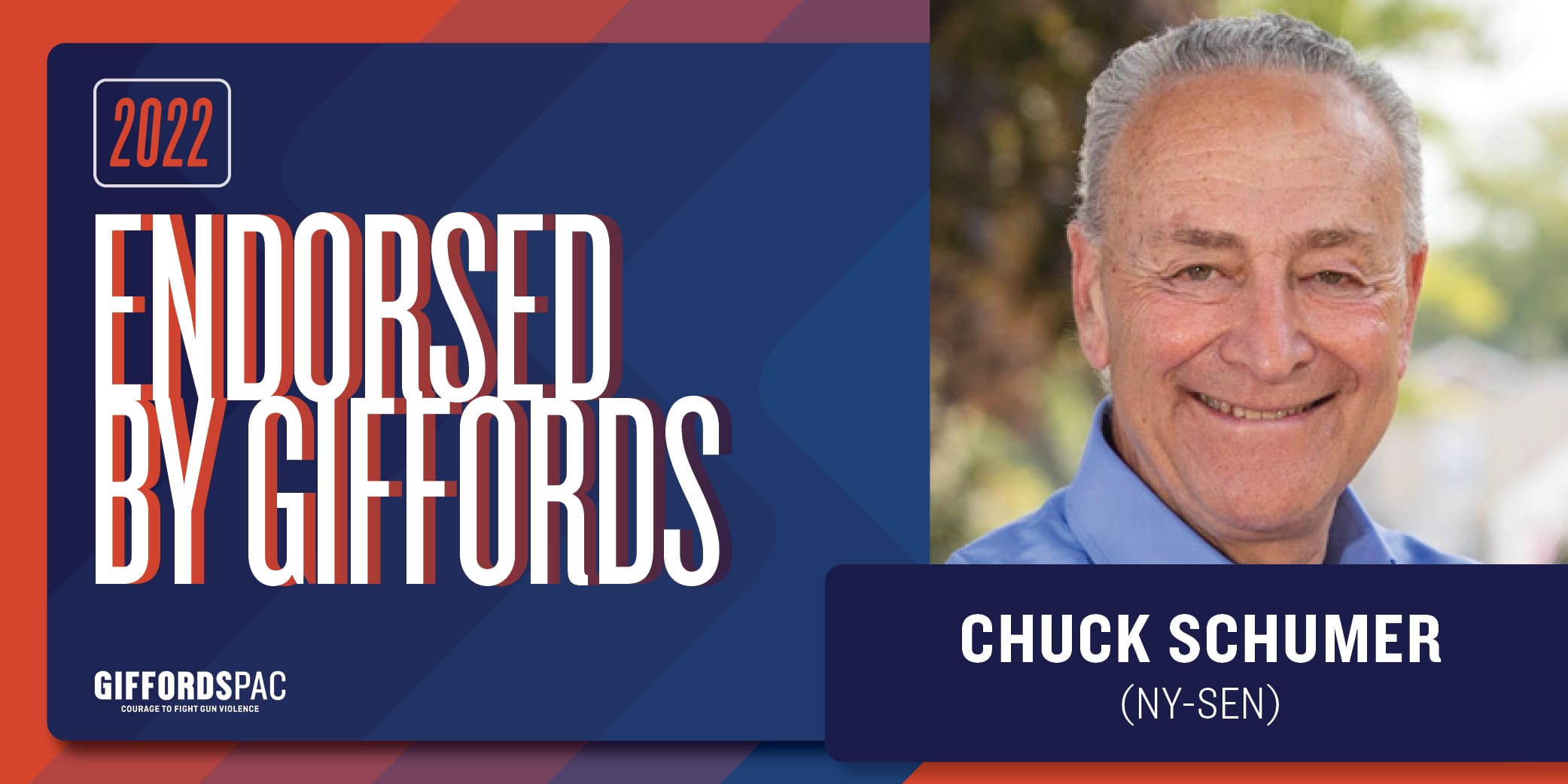 Chuck Schumer Giffords