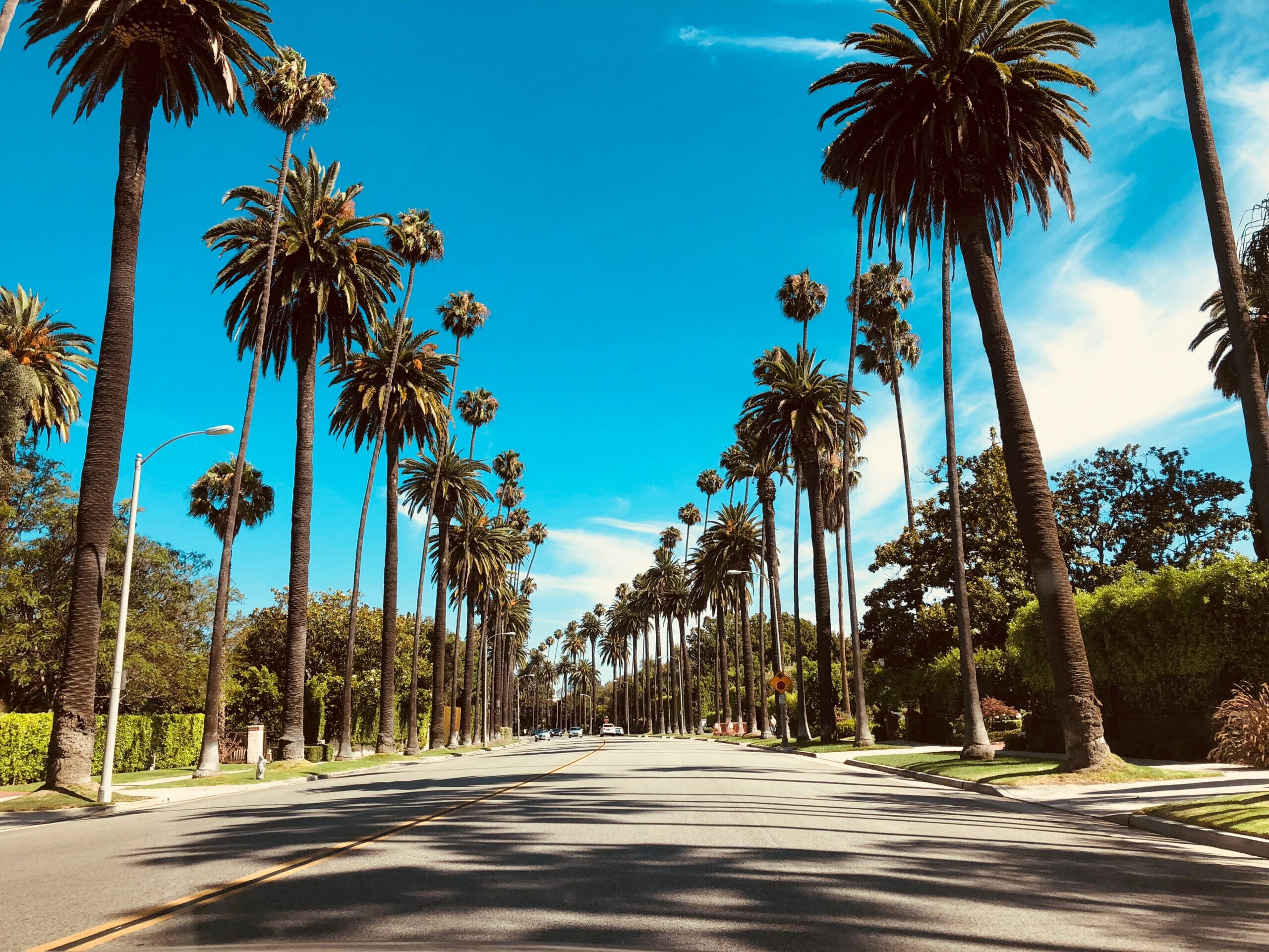 Los angeles event giffords