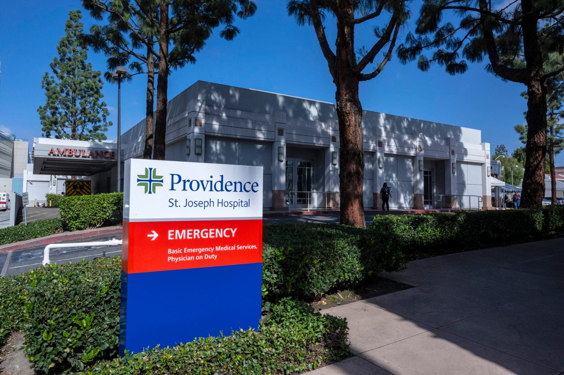 sample single Alt sample single Alt