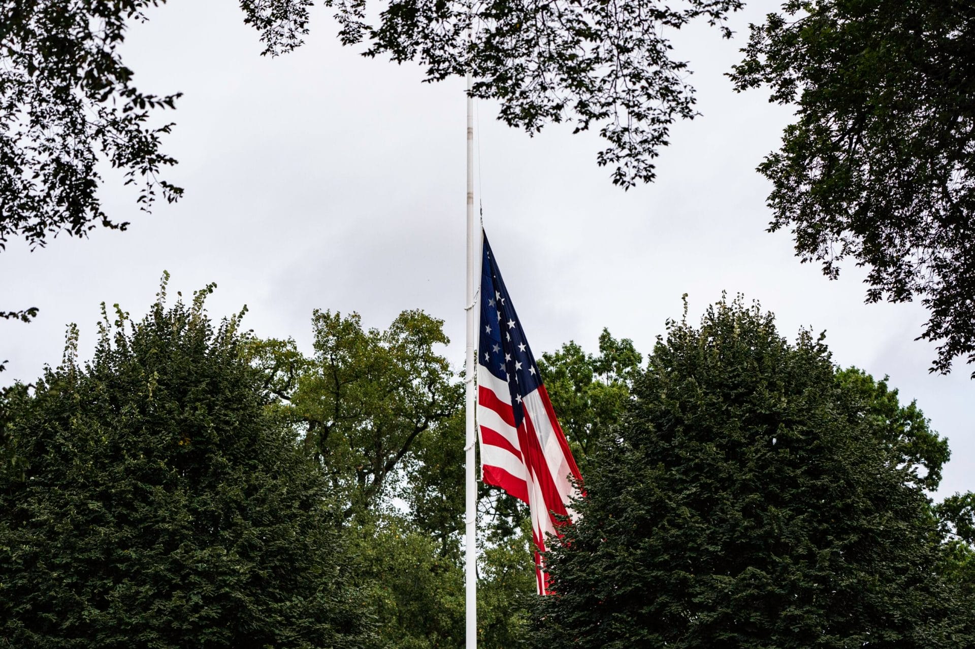 sample single Alt sample single Alt